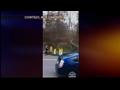 News video: Little League Players Move Fallen Tree